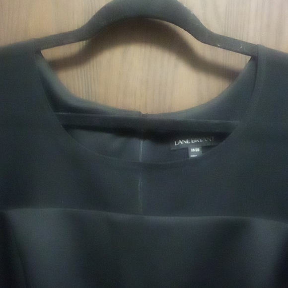 Lane Bryant Neoprene Sheer Dress - Picture 3 of 12